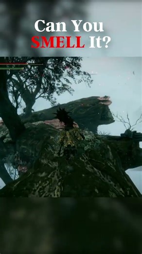 The Haligtree Smells Nice #eldenring #noobplayseldenring #lolgameplay