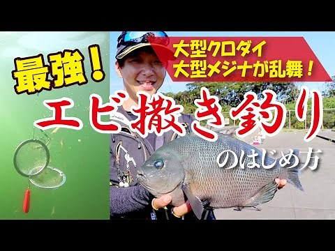 最強！エビ撒き釣りのはじめ方