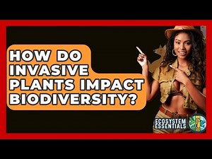 How Do Invasive Plants Impact Biodiversity? - Ecosystem Essentials