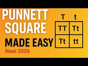 Punnett Square in Biology | Easy Explanation with Examples | NEET Genetics