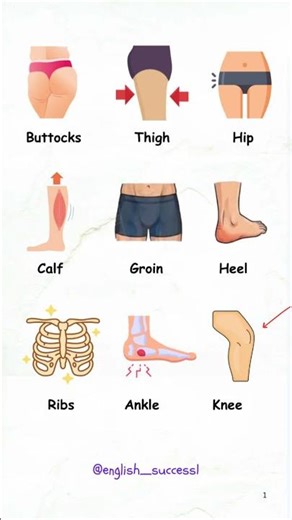 Human body parts names in english for beginners #english