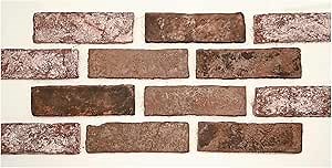 Tenedos 2x8 Tumbled Rustic Clay Brick Tile – Reddish Mesh-Mounted Wall Tile Sample for Kitchen Backsplash, Bathroom, Shower, Accent Wall, Fireplace Surround