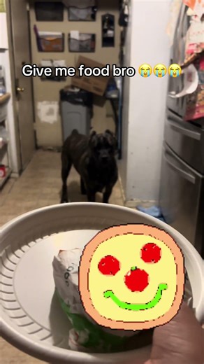 #cbum GIVE MY FOOD BRO