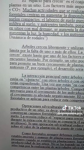 Detectar Plagio con Word 365 - Normas APA Pro