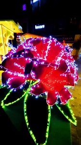 Our mall glows with the magic of rhododendron! Step into this twinkling paradise and celebrate the New Year... #labimmall #nepalinewyear | LABIM MALL