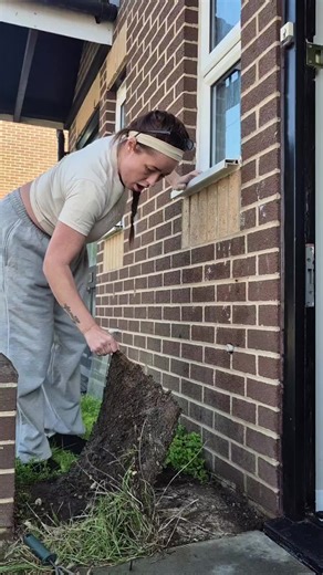 Spring Gardening Tips for Your New Home