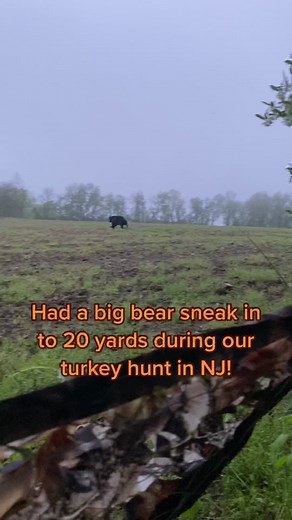 huntingactor on TikTok