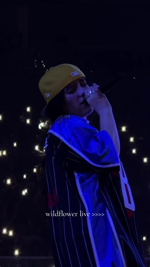 Billie Eilish Concert Experience: Wildflower Live