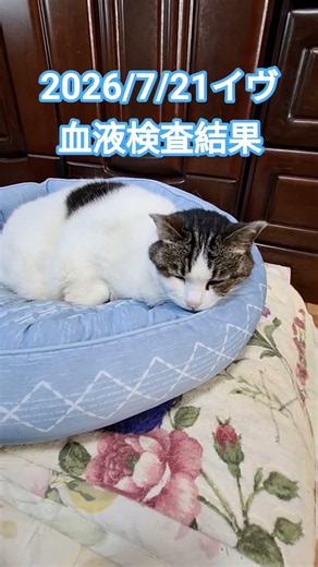 血液検査結果
