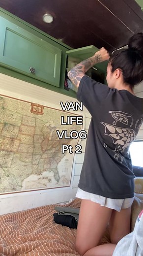 Van Life Daily Vlog Pt 2 #vanlife #catsoftiktok #vlog #vanconversion #arizonacheck #CloseYourRings