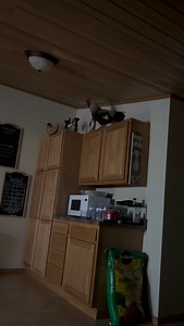 1.9K views · 374 reactions | My alarm clock went off at 4:27am . So I put it in the garage for now , I’m kinda thinking I don’t need an alarm clock in the house . So Junior is back to being an outside pet  | Rustic Retreat Deer Park | Facebook