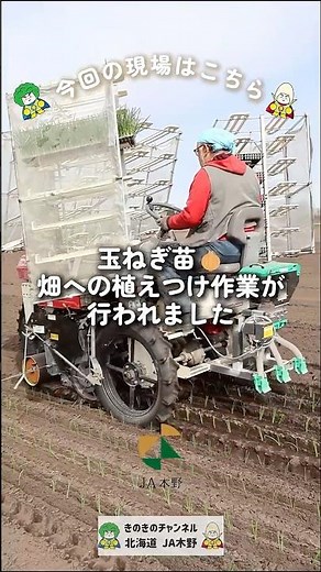 【JA木野・北海道】玉ねぎの苗、畑へ…！