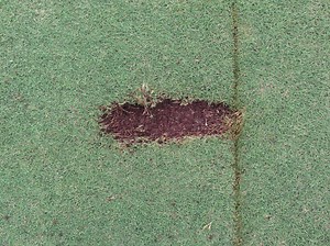 Low Point: Can Trackman’s newest parameter indicate golfer skill level?