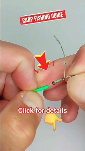 Best Knot for Carp Fishing 🎣 | Catch More Carp Fast!