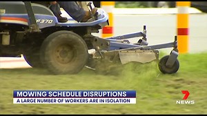 Footpaths across Brisbane may begin to look overgrown as COVID causes major labour shortages for Council. Mowing schedules have been affected across multiple suburbs due to workers in isolation. 7NEWS at 6pm. More local news: 7news.com.au/news/brisbane #7NEWS | 7NEWS Brisbane