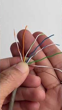 An easy way to crimp an Ethernet cable at home.