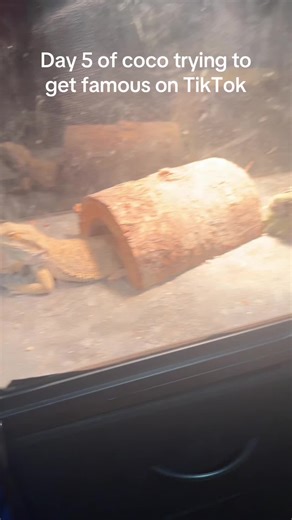 Day 5 of coco trying to get famous on TikTok | coco