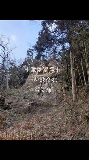 #futtsu #日本の故郷 #富津市 #古墳 #日本のふるさと