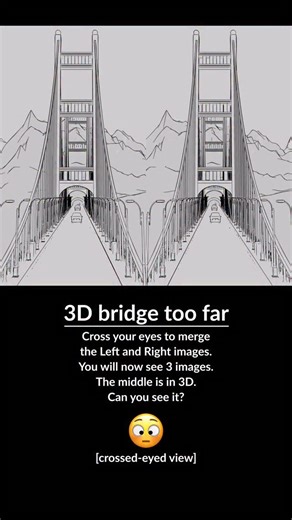 3D bridge too far Cross your eyes to merge the Left and Right images. You will now see 3 images. The middle is in 3D. Can you see it? 😳 [cross-eyed view] Parallel view version pinned in comments | Ben Greenberg
