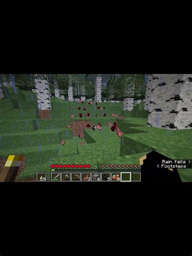 There's porkchop and blood! | Minecraft Creepypasta