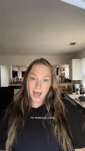 Charlie’s first pup cup 🥹 he’s learning so much & we are sooo proud!! To watch Charlie experience so much more, follow @mythologicaldogs #fosterdog #rescuedog #rescuejourney #dogtransformation #dogrescue #streetdogrescue #fosteringsaveslives | Mythologicaldogs