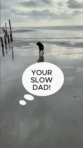 6-14-26 Port Aransas Beach Report with Marley