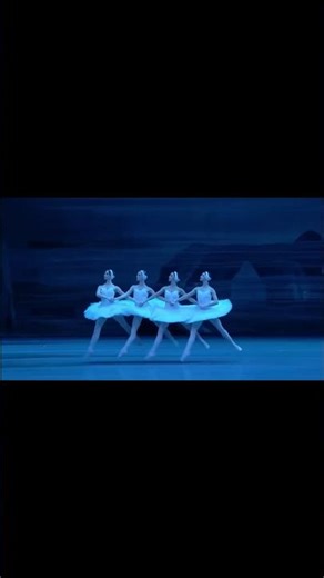 4 Swans