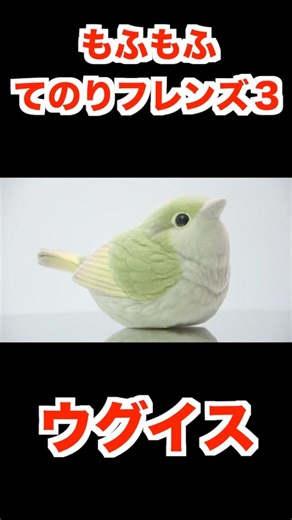 Bird Figure Laughing Kookaburra, Pink Robin, Japanese Bush Warbler, Cockatiel, Budgerigar, Galah,