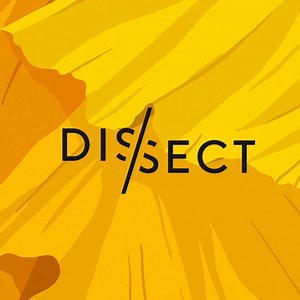 The latest ep of Dissect Podcast just dropped. Discover why "Daddy Lessons” became a turning point for Beyoncé and her lemonade story. Listen now only on Spotify: https://spoti.fi/dissect | Spotify | Facebook