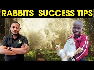 Rabbit Farming Secrets You Need To Know