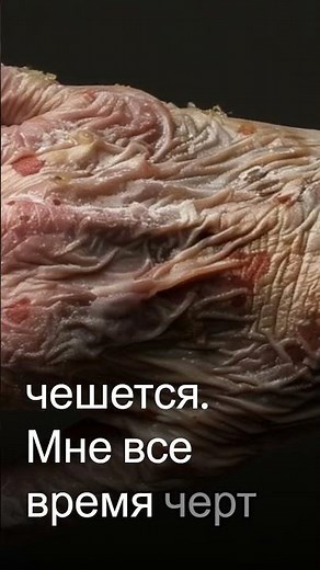 SCP 027 - Fear and Confusion