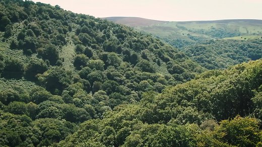 Be an Exmoor Explorer! 🗺 www.exmoorwalks.org Our new series of 10 short walks explores some of the very best scenery, wildlife, and history that Exmoor has to offer. On the website each easy-to-follow route is accompanied by OS mapping plus a short video, ideal for those curious to explore a new area. Printed route guides are available to purchase online (https://shop.exmoor-nationalpark.gov.uk) or from Exmoor National Park Centres; Lynmouth, Dunster and Dulverton. #ExmoorExplorer #VisitExmoorS