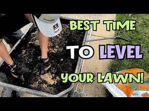 Lawn Leveling - When is the BEST Time to Fix That Bumpy Lawn?