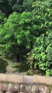 10K views · 82 reactions | Ven y disfruta de tranquilidad, seguridad...