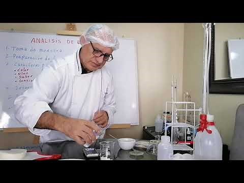 CHEESE ANALYSIS