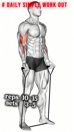 Simple Daily Barbell Curl Routine for Beginners