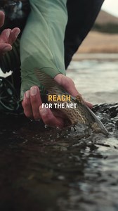 AIR 2 REACH - Mend & Control One of the key performance advantages of fishing longer rods is the ability to command fly line and keep your flies perfectly drifting without interruption. The AIR 2 Reach has been developed with this in mind, with moderate mid-sections and a more responsive tip section, giving anglers more control and feel to ensure anglers keep their flies in the zone longer. REACH for the net more this year. Get in touch with your local Winston Dealer to experience incredible lin