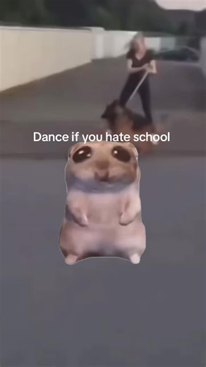 #Meme #MemeCut | dance