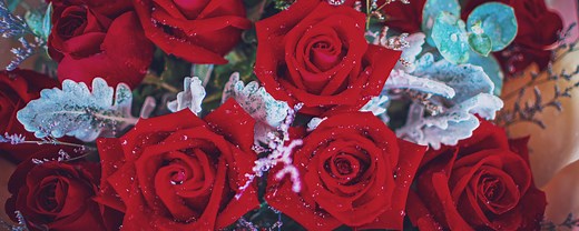 Behind the Poetic Rhyme "Roses Are Red"