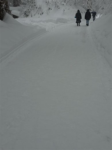 Pelikan オジサン on Instagram: "新年明けましておめでとうおめでとうございます。 2026年も宜しくお願い申し上げます。 羽黒山神社は朝一雪で🚙に🚌とスリップで渋滞🚗🚗🚗⚡ してました、参拝で向かう方は余裕を持って安全運転で 向かわれて下さい。 #羽黒山神社 #初詣"