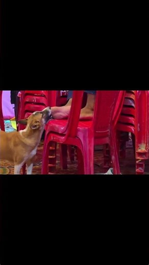 Free fire #funny #funnyshorts