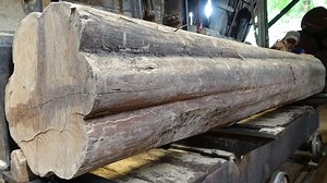 very special sawmill giant wood | Sawmill & Woodworking