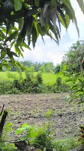 Nagihaw aq Ng tulingan | fishing and adventure