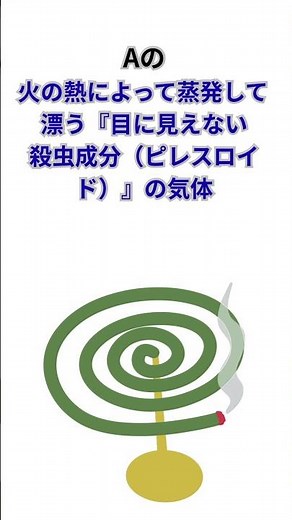 【殺虫の科学】煙で窒息させてるんじゃない！？蚊取り線香が煙の出ない先端付近から「目に見えない成分」を放出して蚊を全滅させる仕組み #理科クイズ #雑学 #shorts