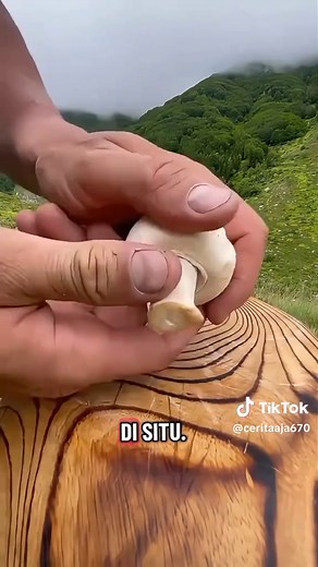 Cerita Pendek: Ide Judul Pendek & Ringkasan Singkat