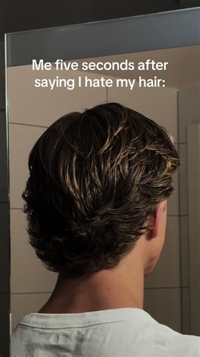 Samuel Borglin (@svarmorsdr0mmen)s video med hair