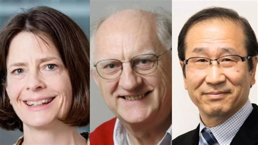Nobel Prize 2025: Full List of winners in Medicine, Physics, Chemistry; more awards to follow