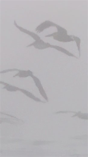 Myrtle Beach Sunrise: A Beautiful Sunday Morning