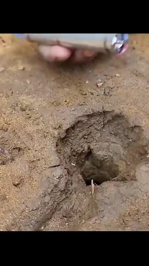 Amazing water pump | Physics Astro