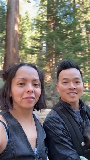 This Is the Largest Tree on Earth — You Won’t Believe Its Size!